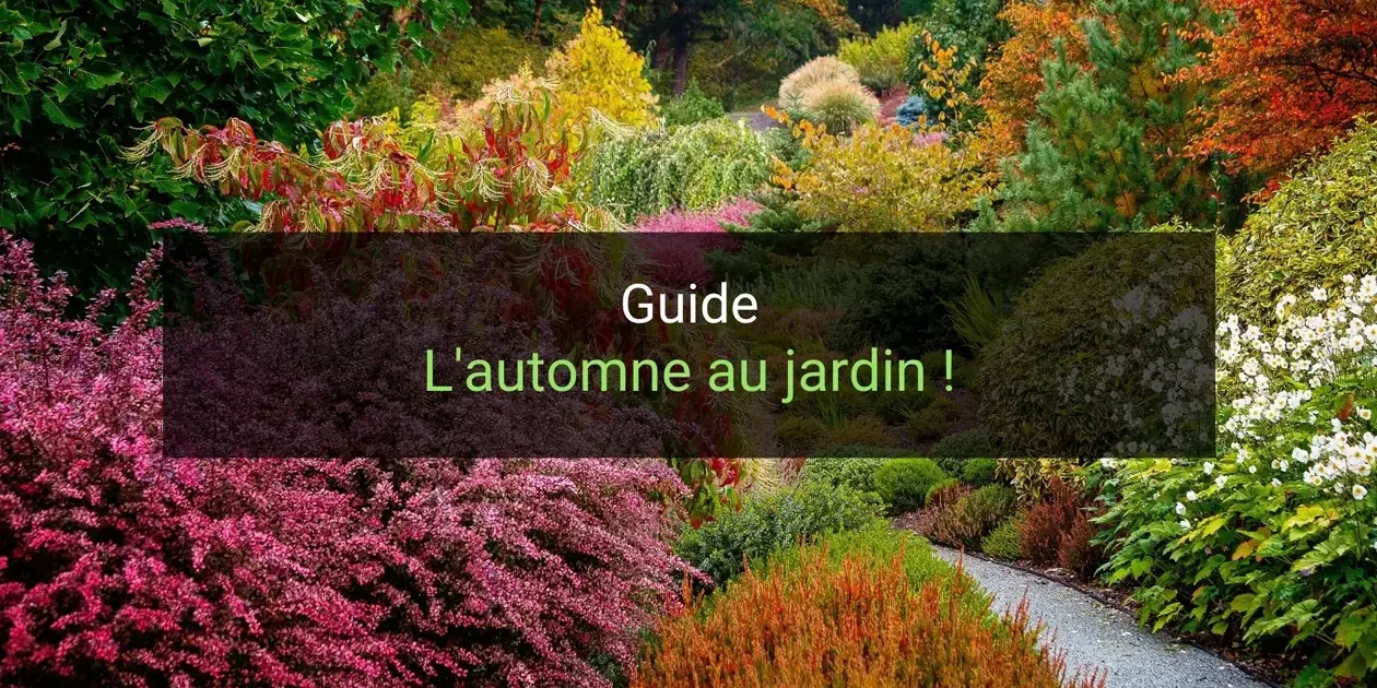 automne au jardin automne au jardin