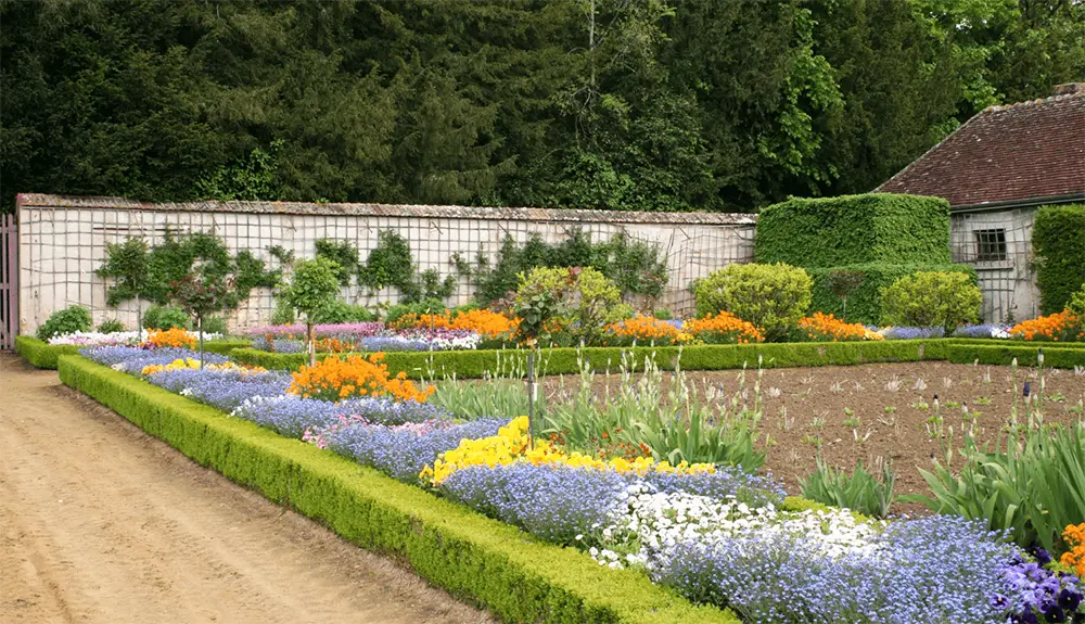 Une bordure de jardin végétale
